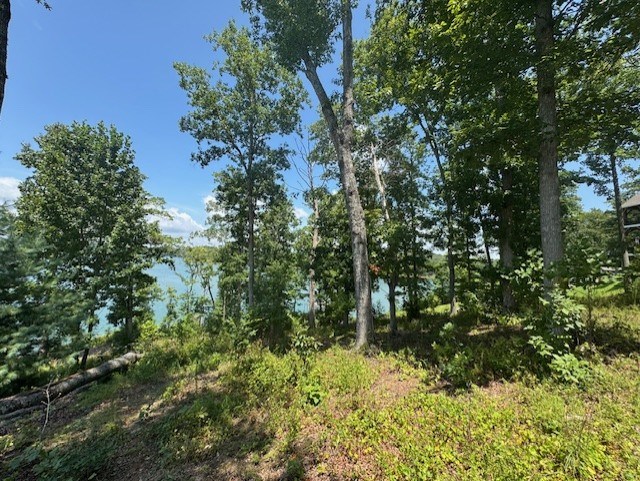 Lot 5 Hunter Lane