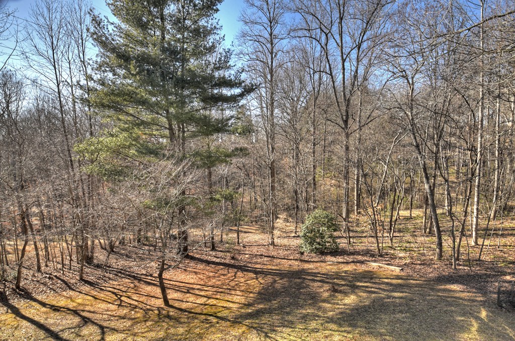 163 Teboe Drive