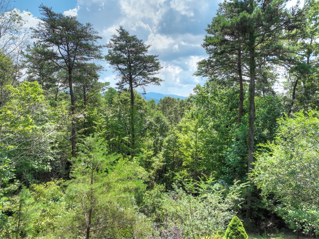 120 Foxfire Road