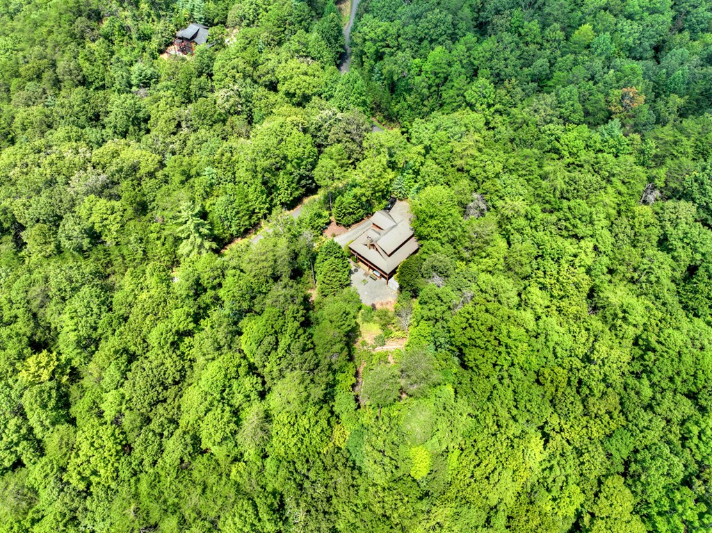 120 Foxfire Road