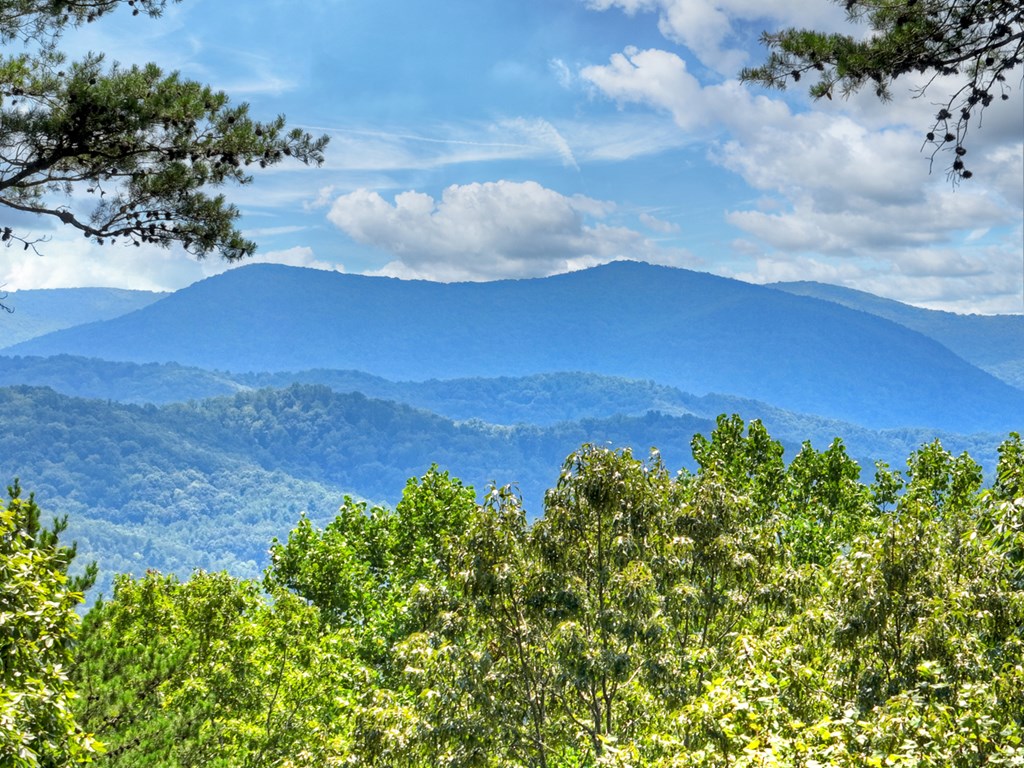 120 Foxfire Road