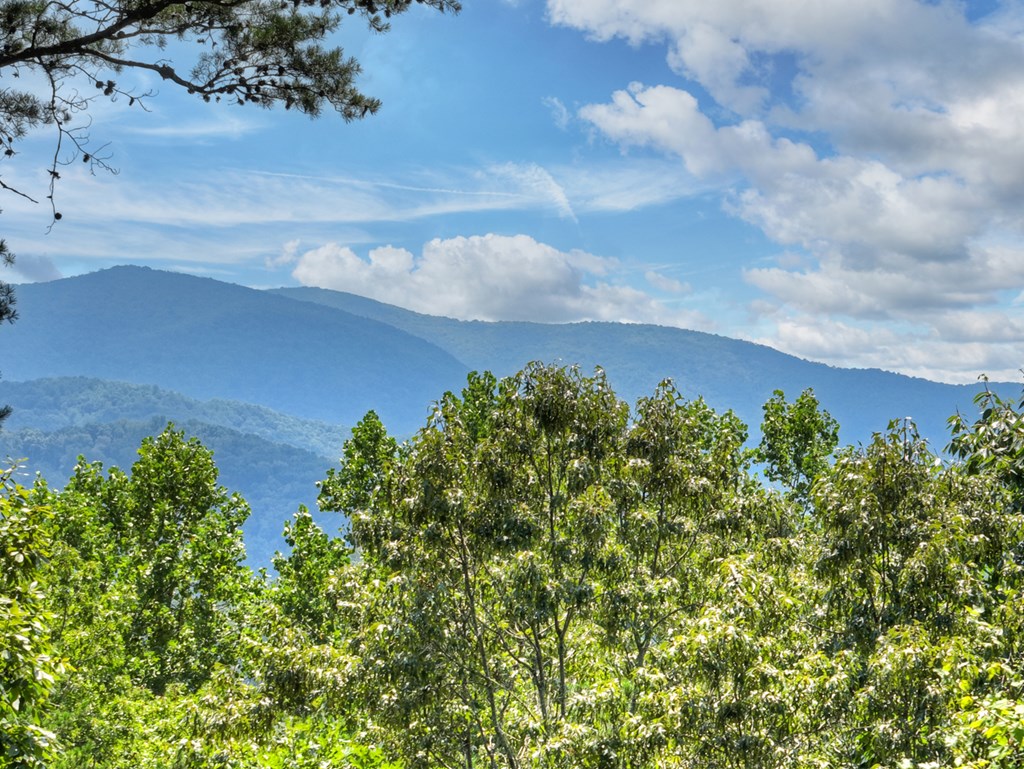 120 Foxfire Road