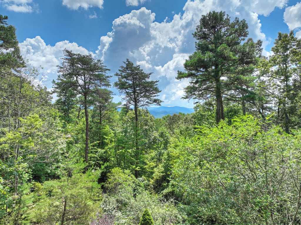 120 Foxfire Road