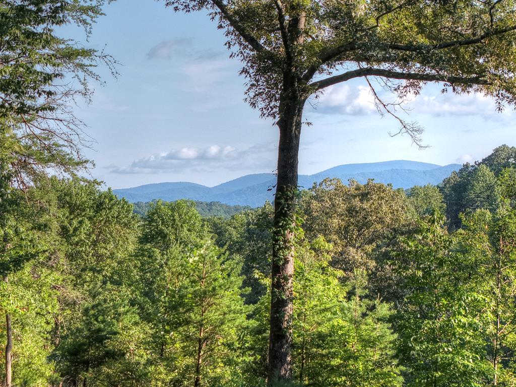 275 Autumn Ridge Drive