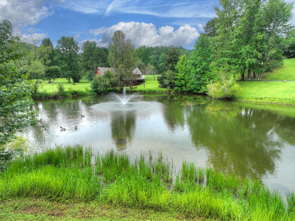 167 Whispering Pines Lane