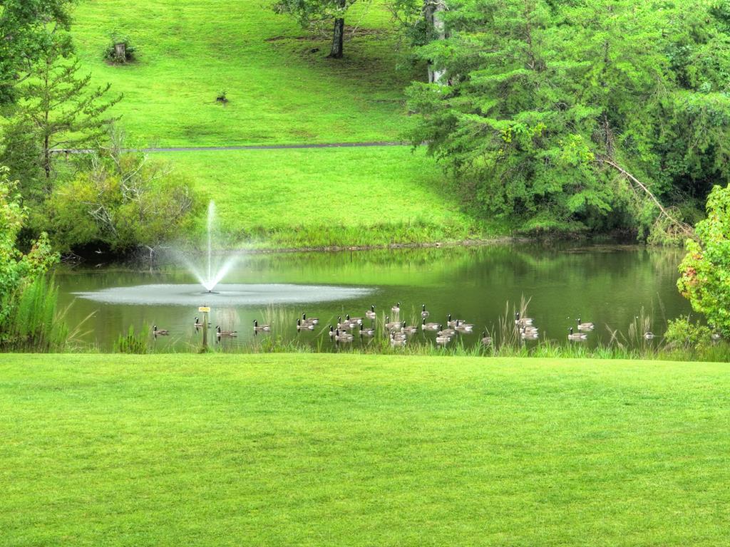167 Whispering Pines Lane