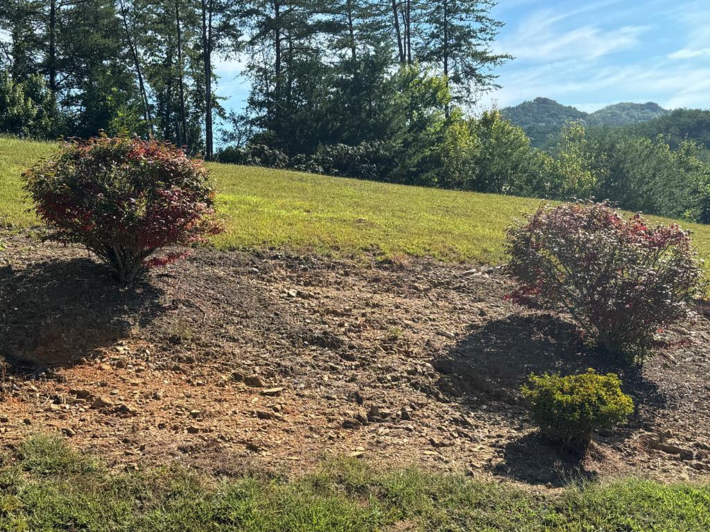 313 Golden Eagle Circle