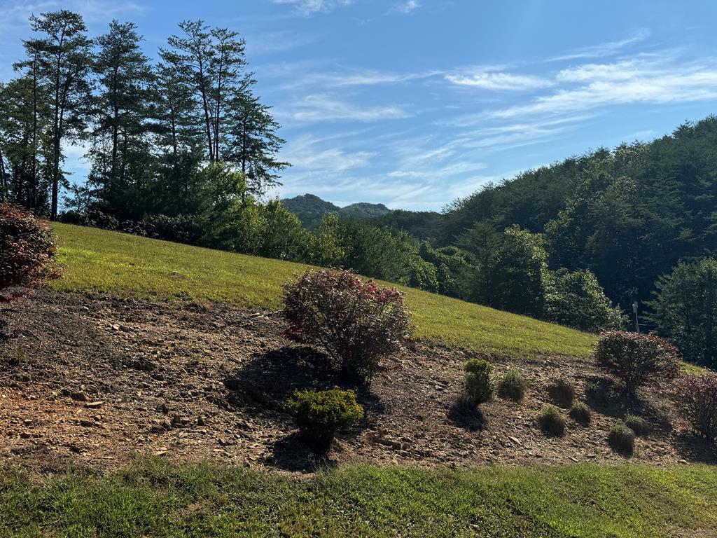 313 Golden Eagle Circle