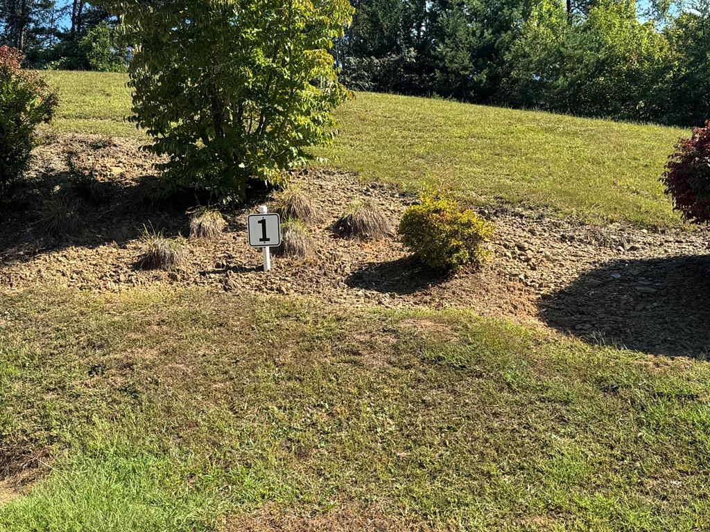 313 Golden Eagle Circle