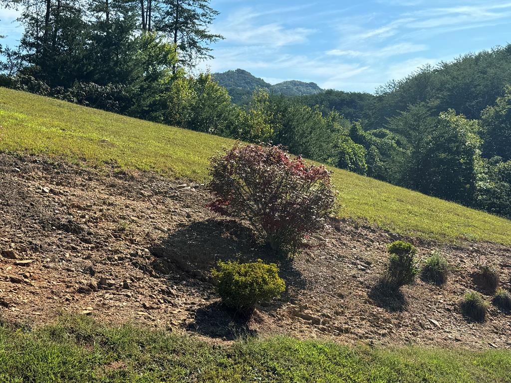 313 Golden Eagle Circle