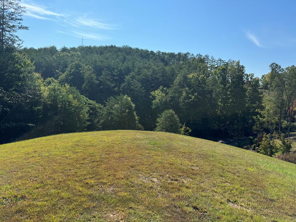 313 Golden Eagle Circle