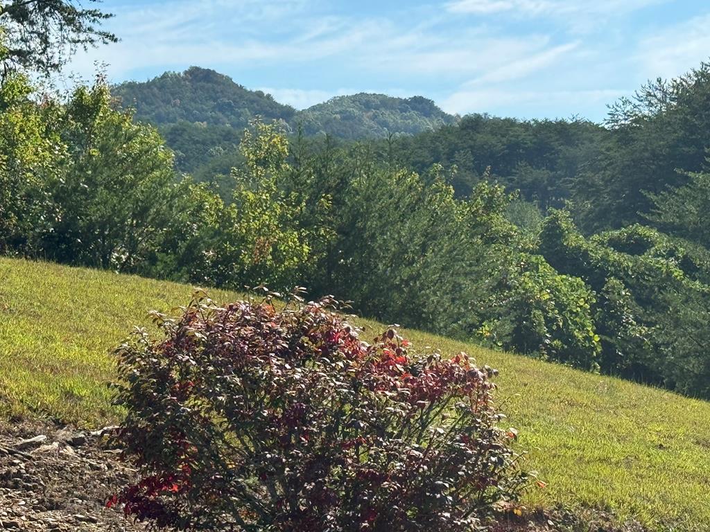 313 Golden Eagle Circle