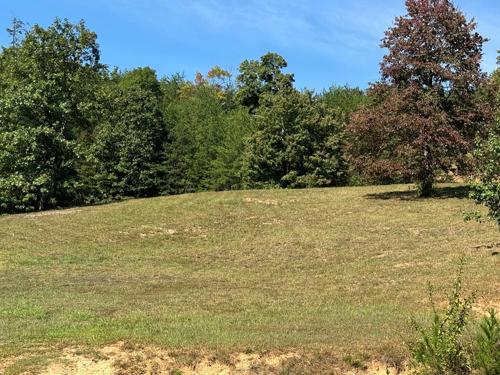 130 Golden Eagle Circle