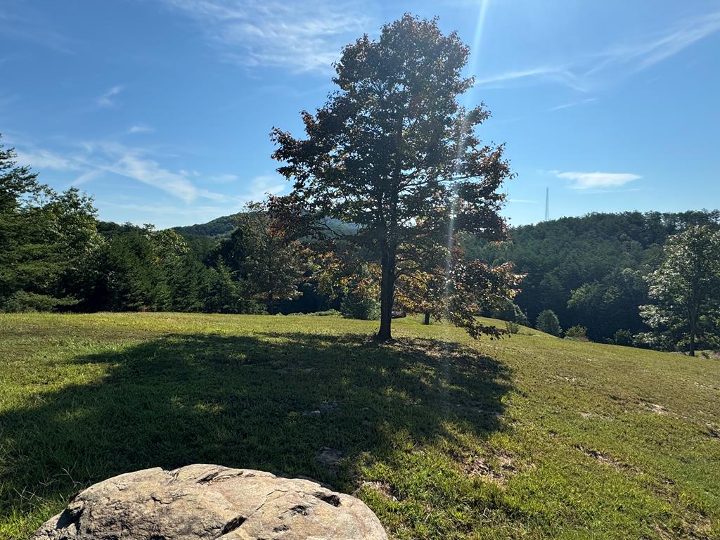 130 Golden Eagle Circle