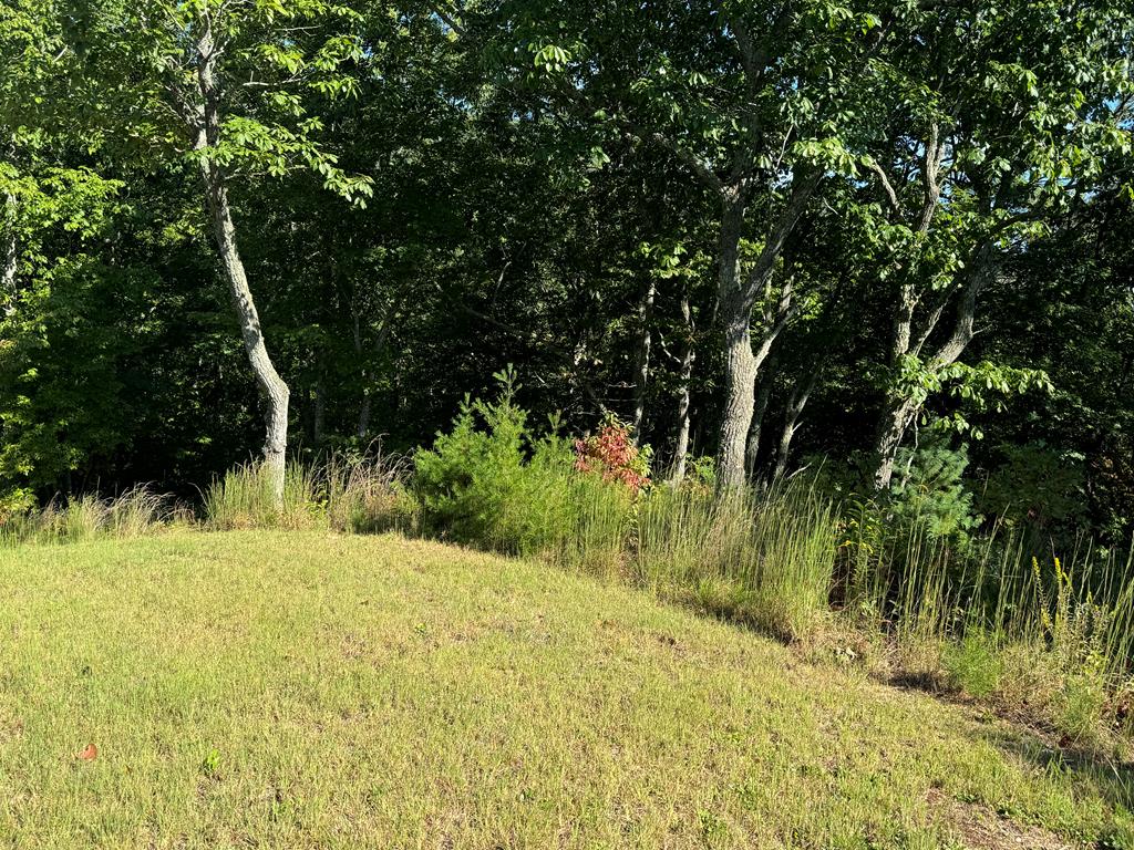 130 Golden Eagle Circle