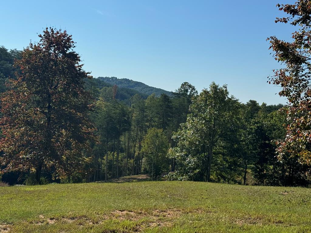 130 Golden Eagle Circle