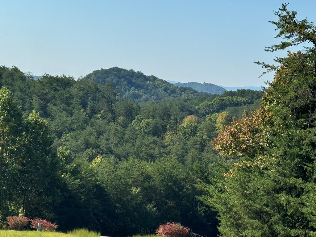 130 Golden Eagle Circle