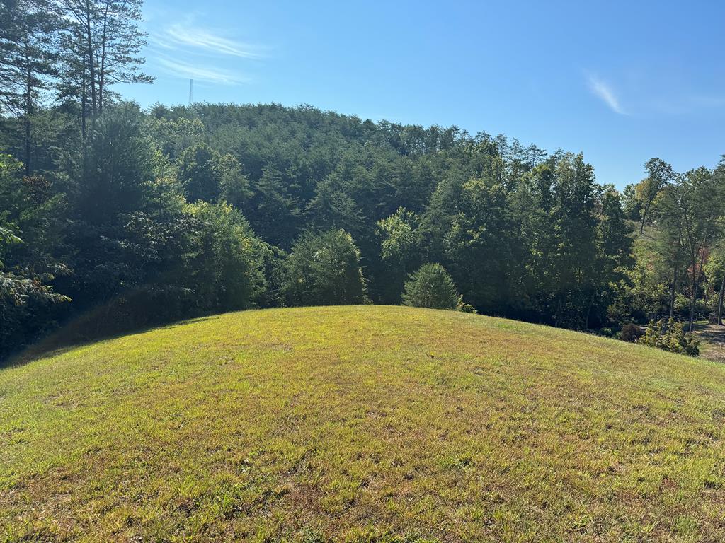 130 Golden Eagle Circle