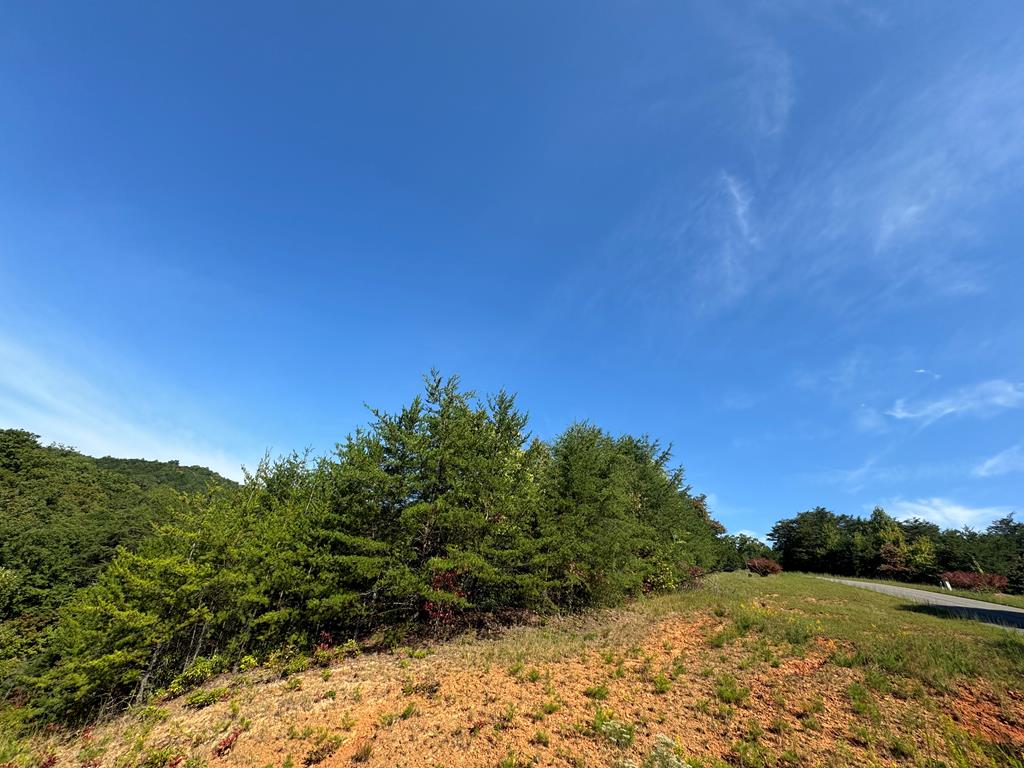 283 Golden Eagle Circle