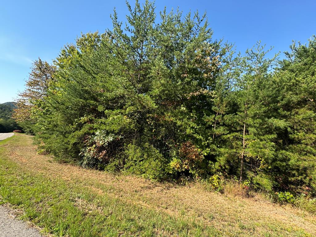 283 Golden Eagle Circle