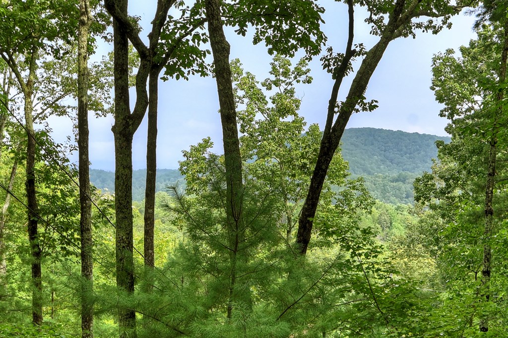 270 Walnut Mountain Road