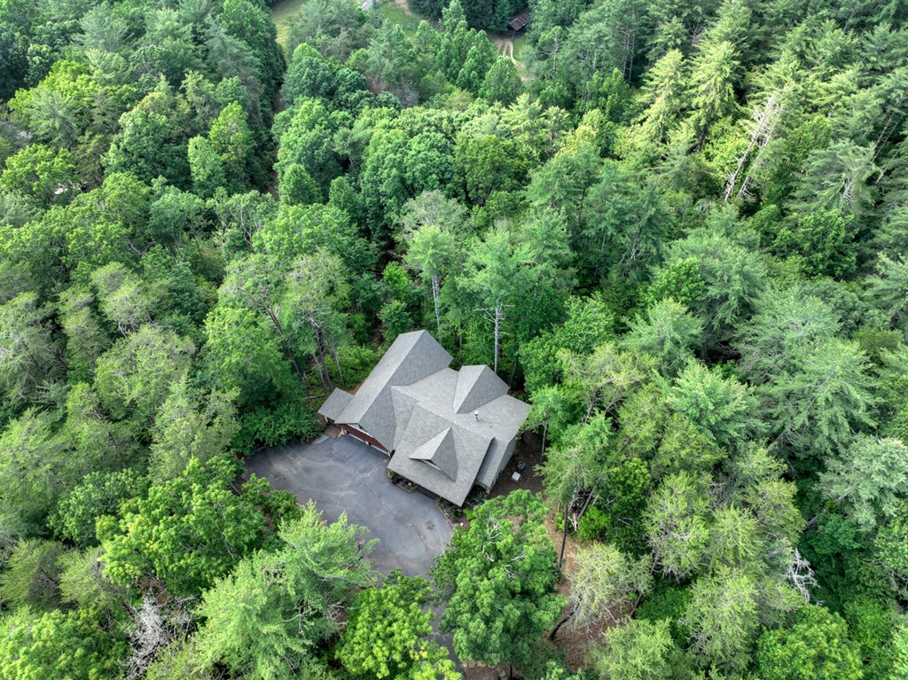 508 Little Bee Lane
