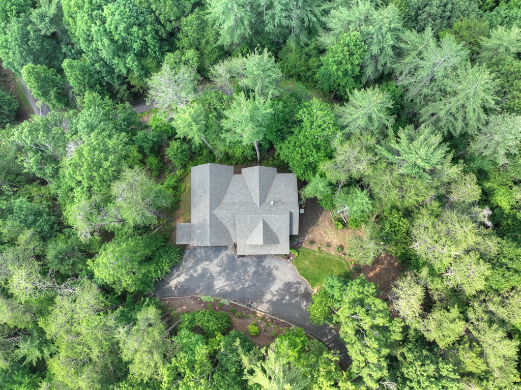 508 Little Bee Lane
