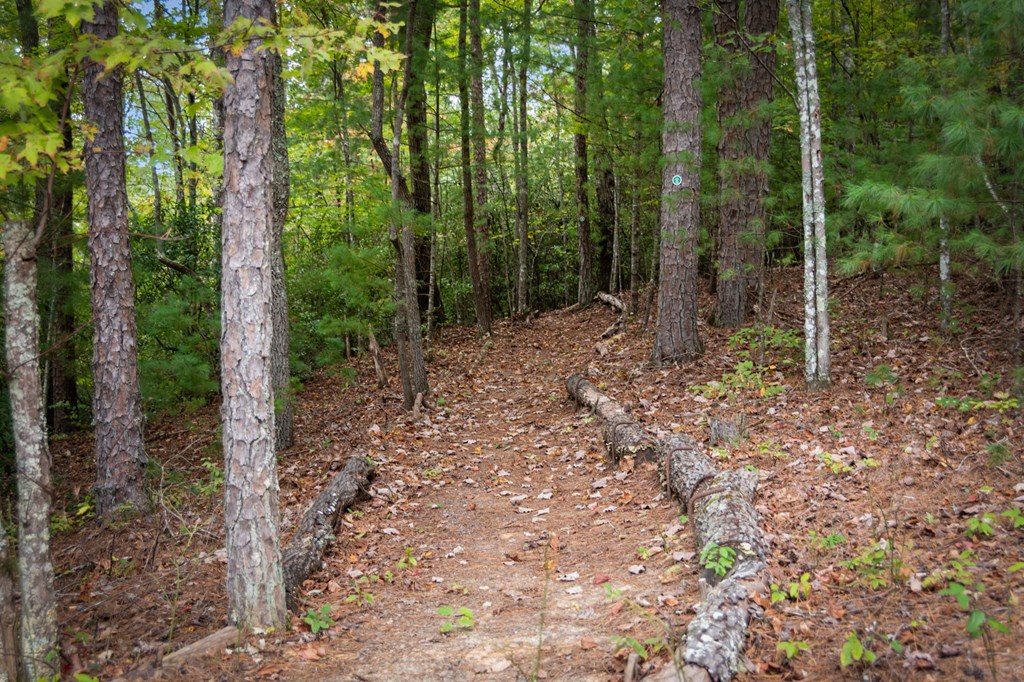 162 Fairy Cross Lane