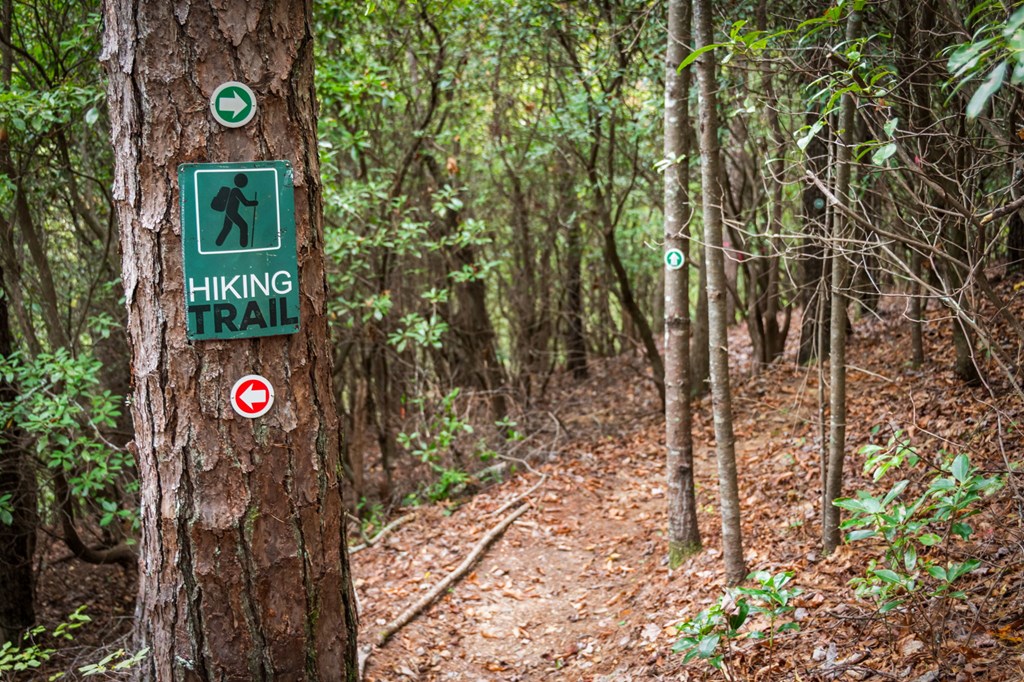 162 Fairy Cross Lane