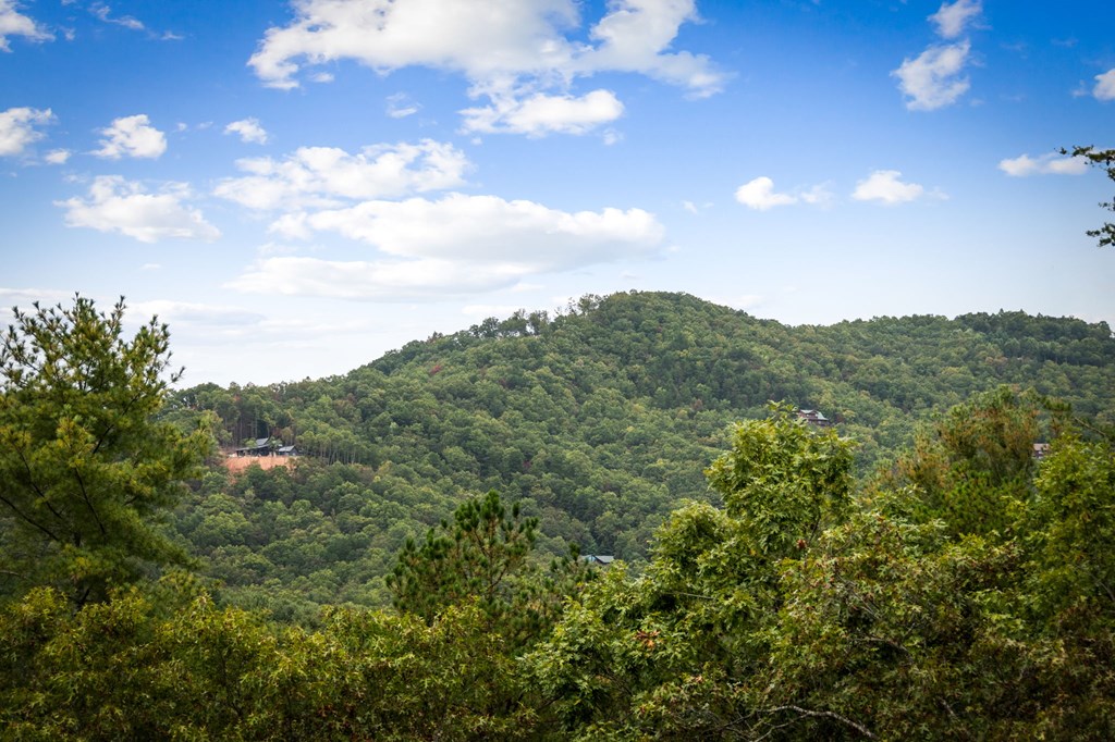 162 Fairy Cross Lane