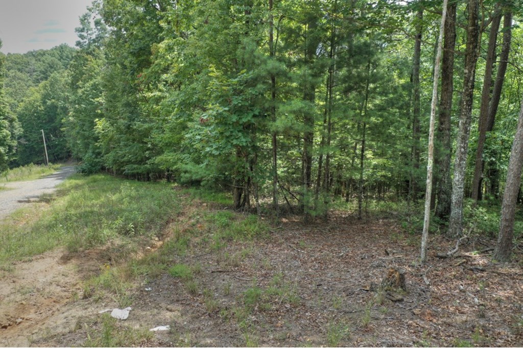 Lot 22 Mull Lane Circle