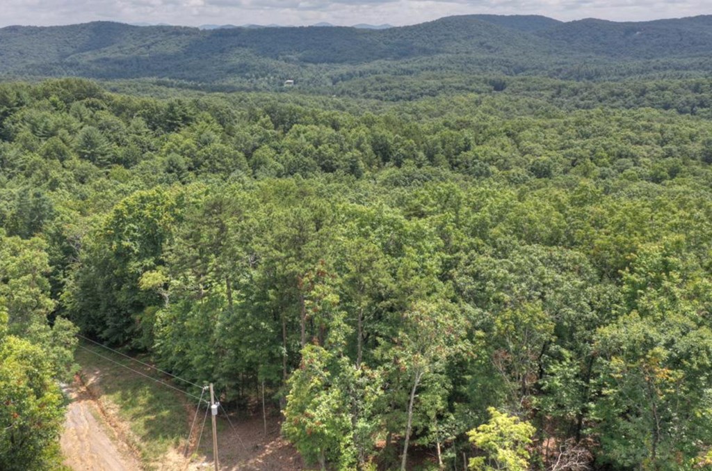 Lot 22 Mull Lane Circle