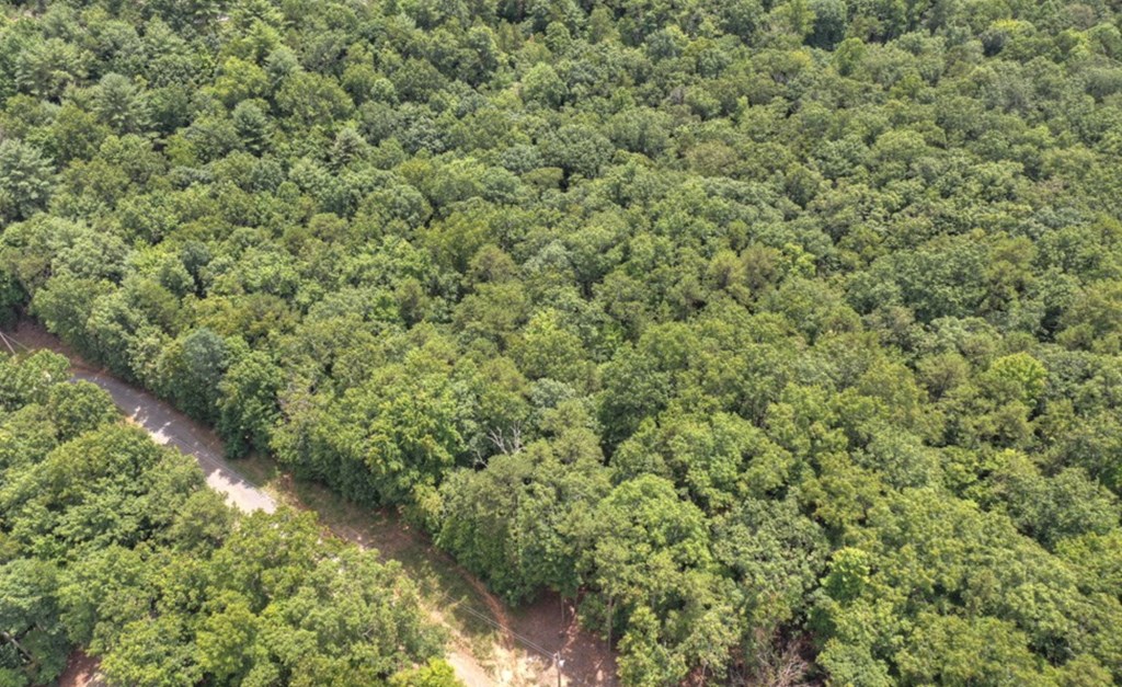 Lot 22 Mull Lane Circle