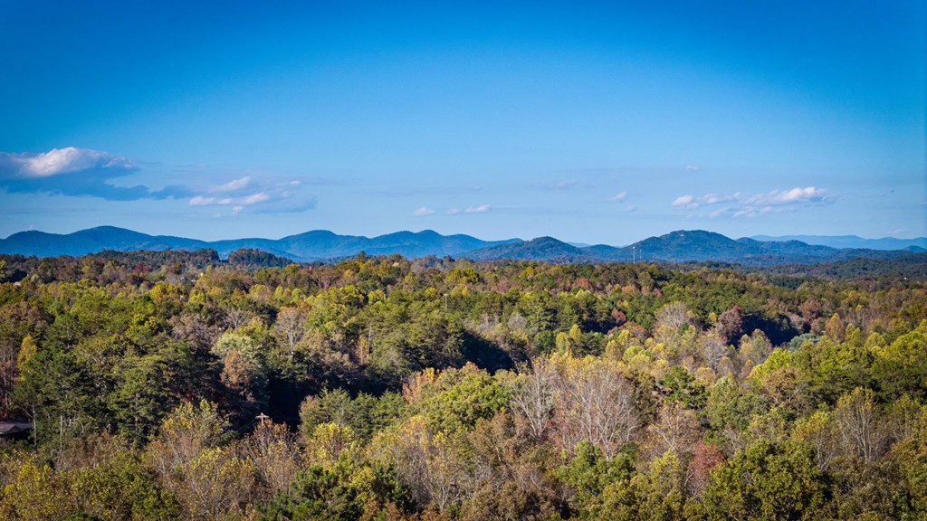 264 Circle Drive, Blue Ridge