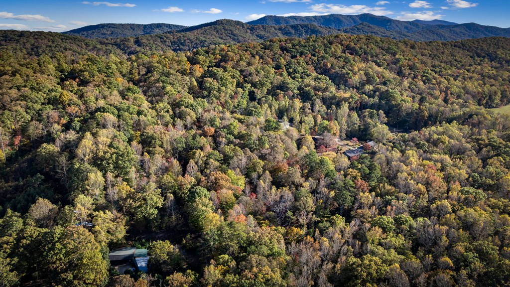 264 Circle Drive, Blue Ridge