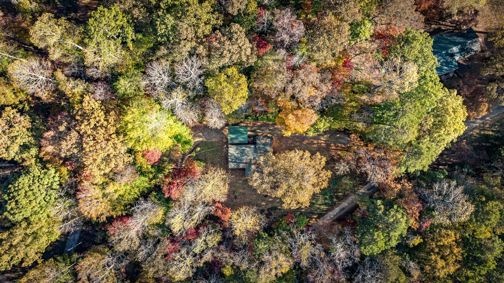 264 Circle Drive, Blue Ridge