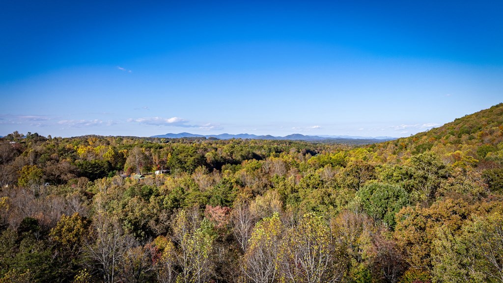 264 Circle Drive, Blue Ridge