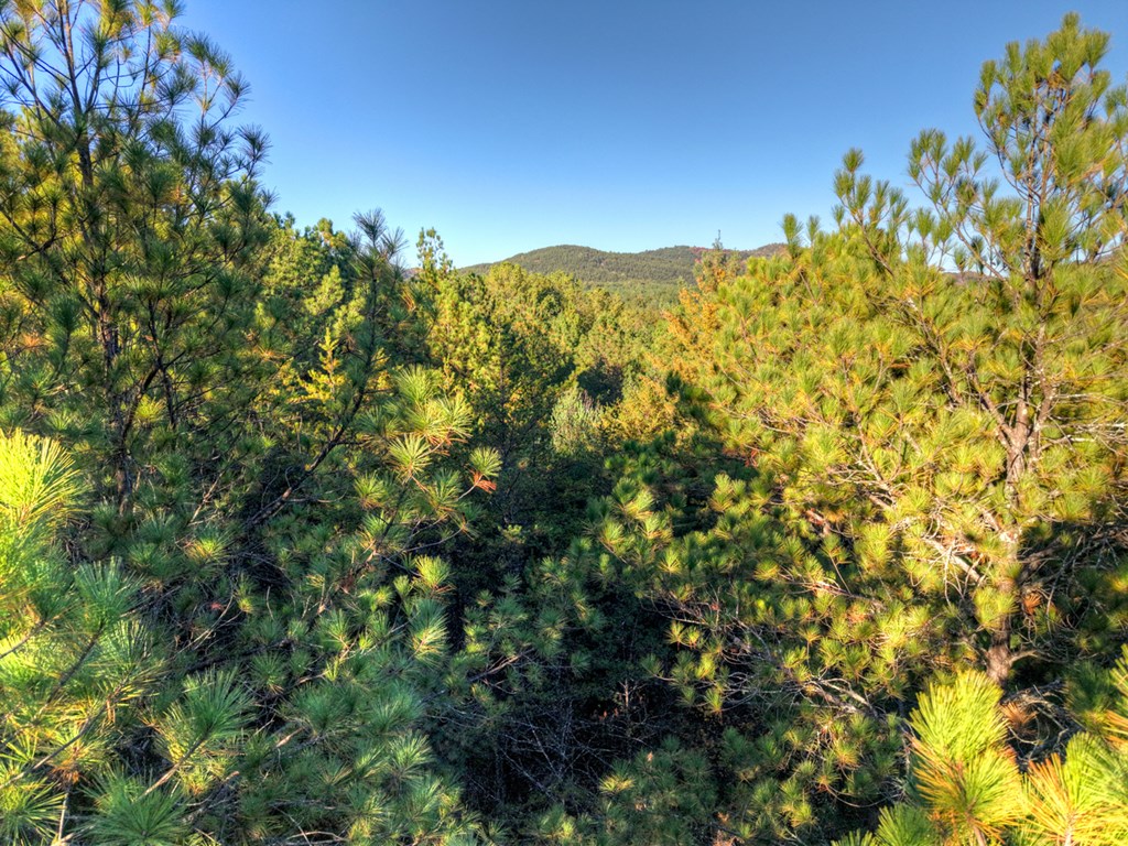 0 Stansbury Mountain Road