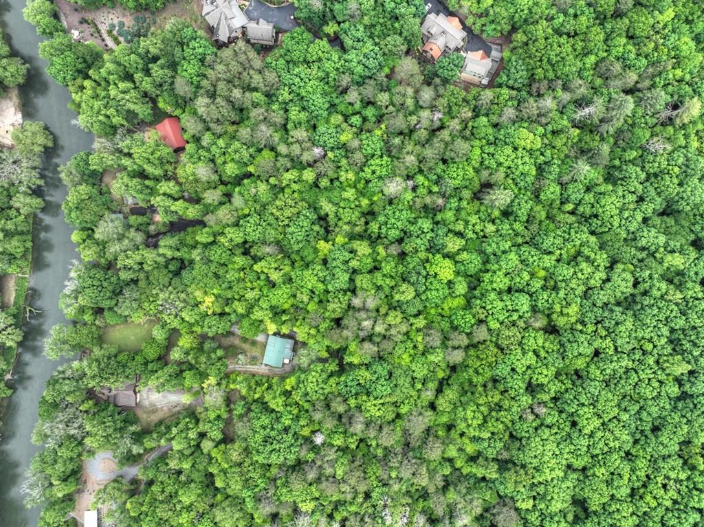 Lot 99 Woodlands Bluff Lane