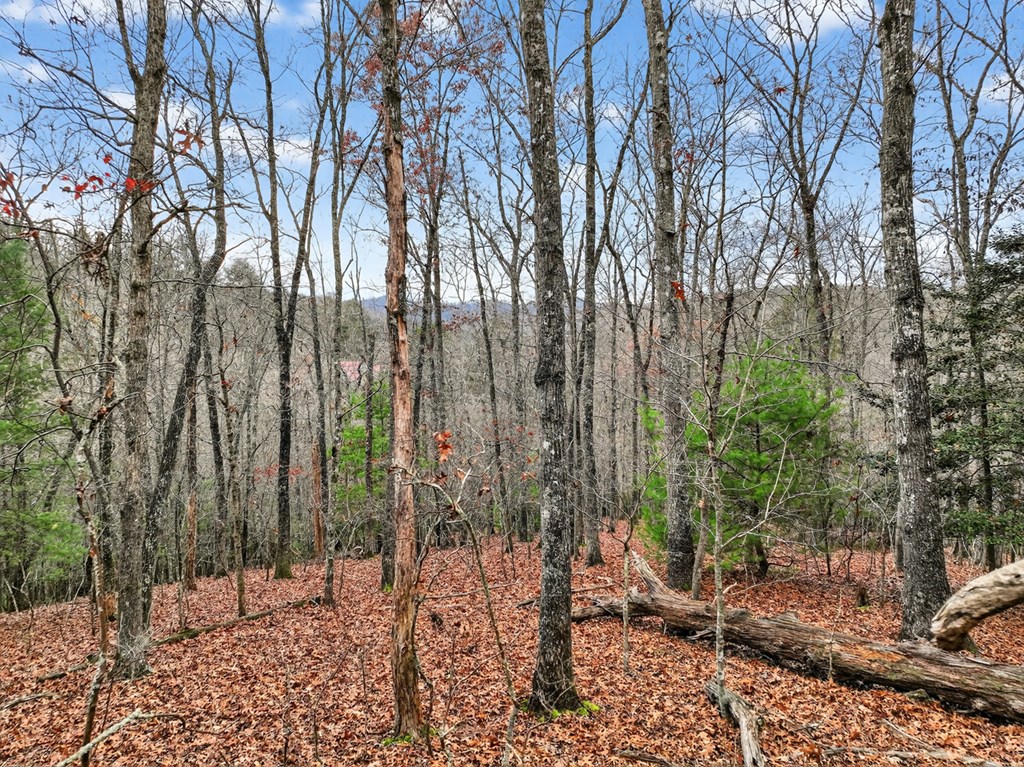 Lot 99 Woodlands Bluff Lane