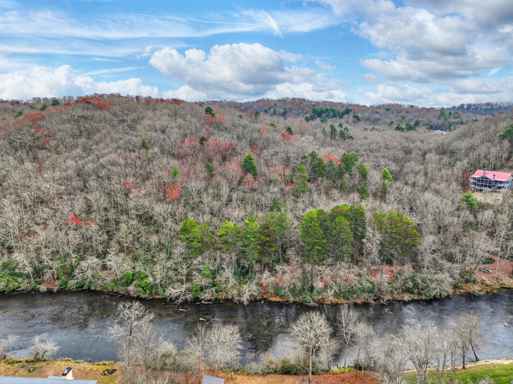 Lot 99 Woodlands Bluff Lane