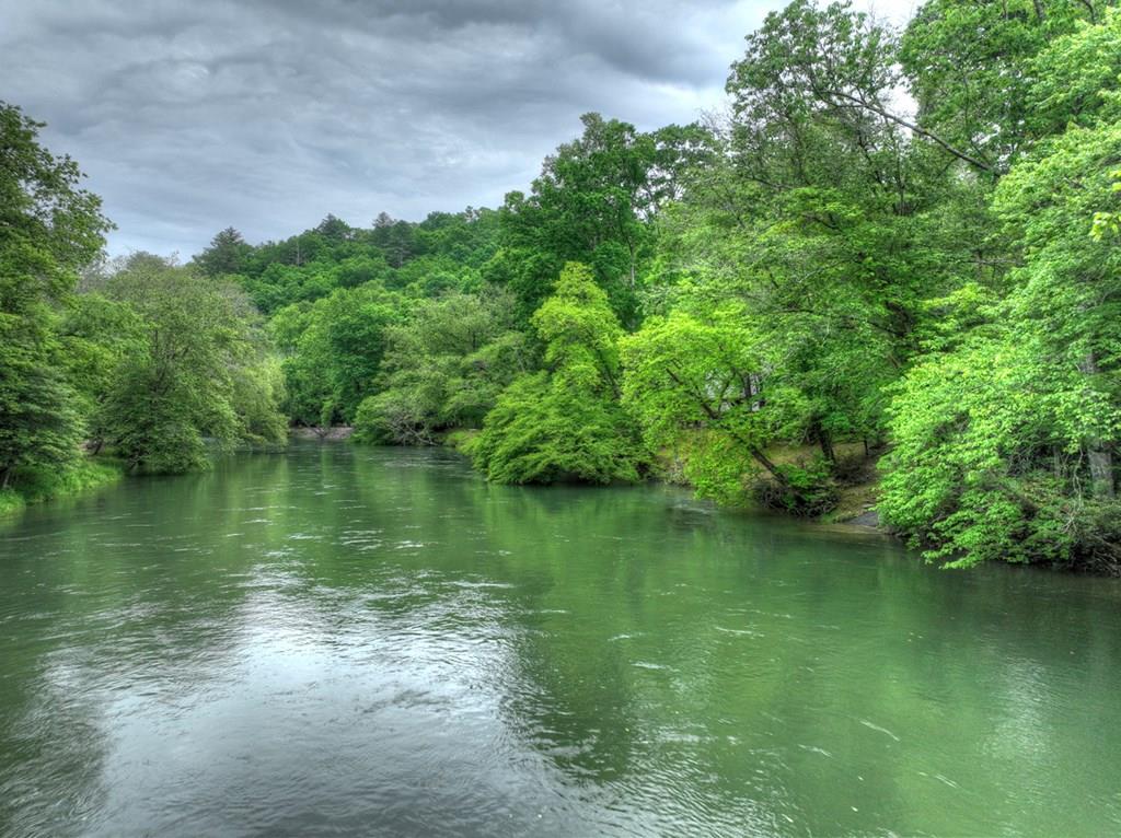 Lot 99 Woodlands Bluff Lane