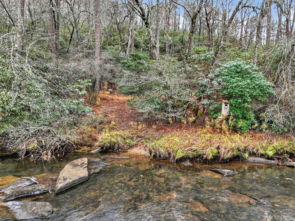 Lot 99 Woodlands Bluff Lane