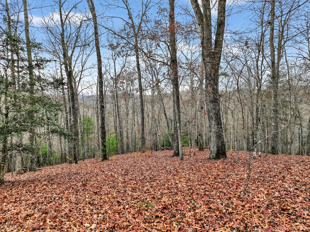 Lot 99 Woodlands Bluff Lane