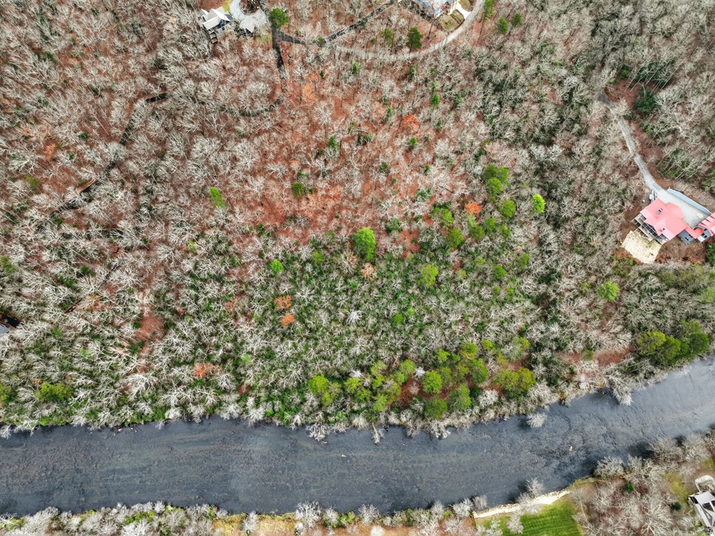 Lot 99 Woodlands Bluff Lane