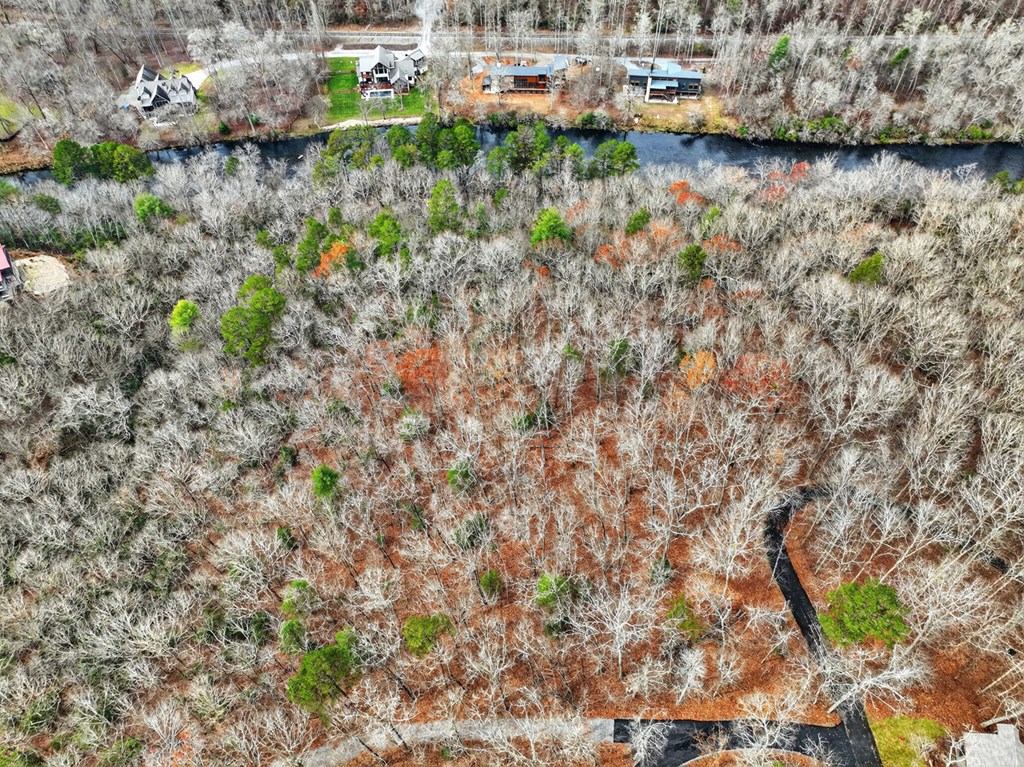 Lot 99 Woodlands Bluff Lane