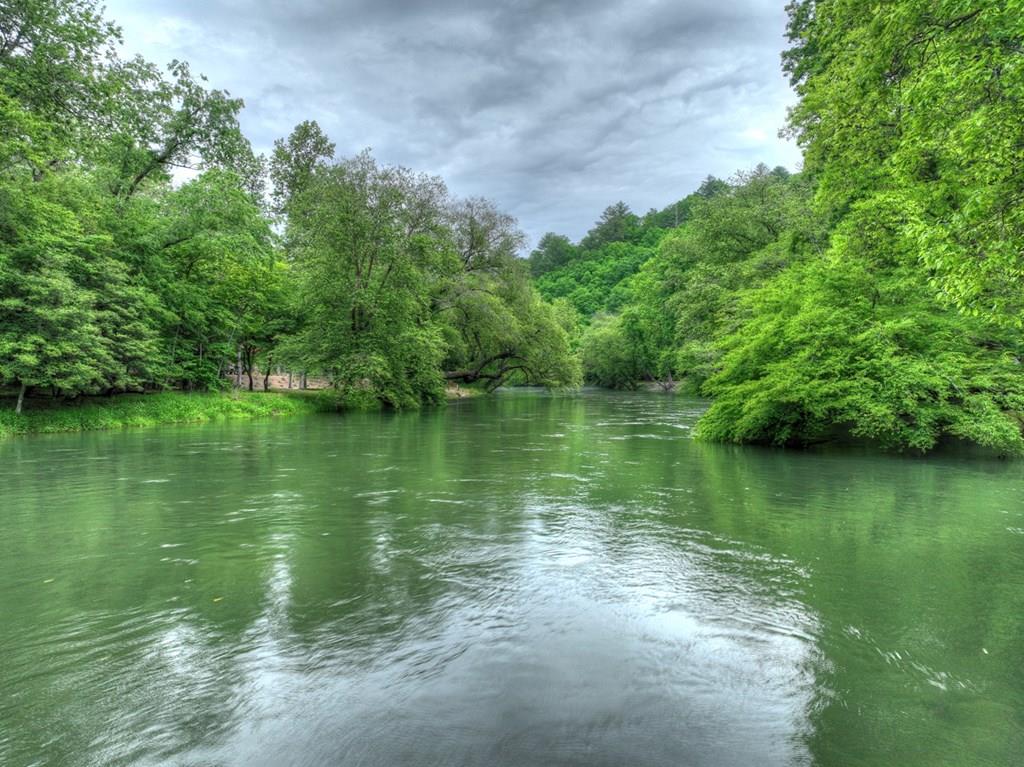 Lot 99 Woodlands Bluff Lane