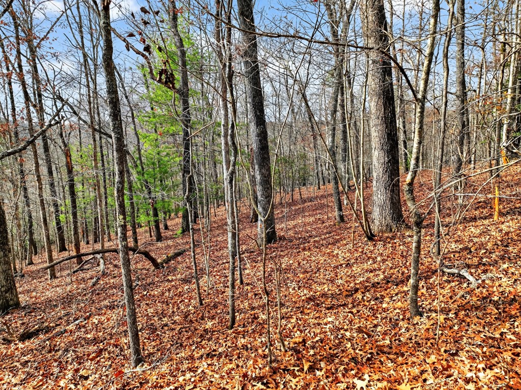 Lot 99 Woodlands Bluff Lane