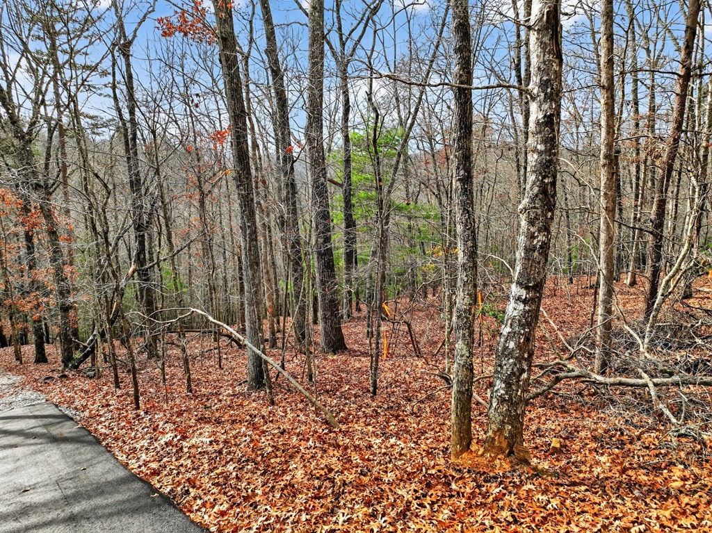 Lot 99 Woodlands Bluff Lane