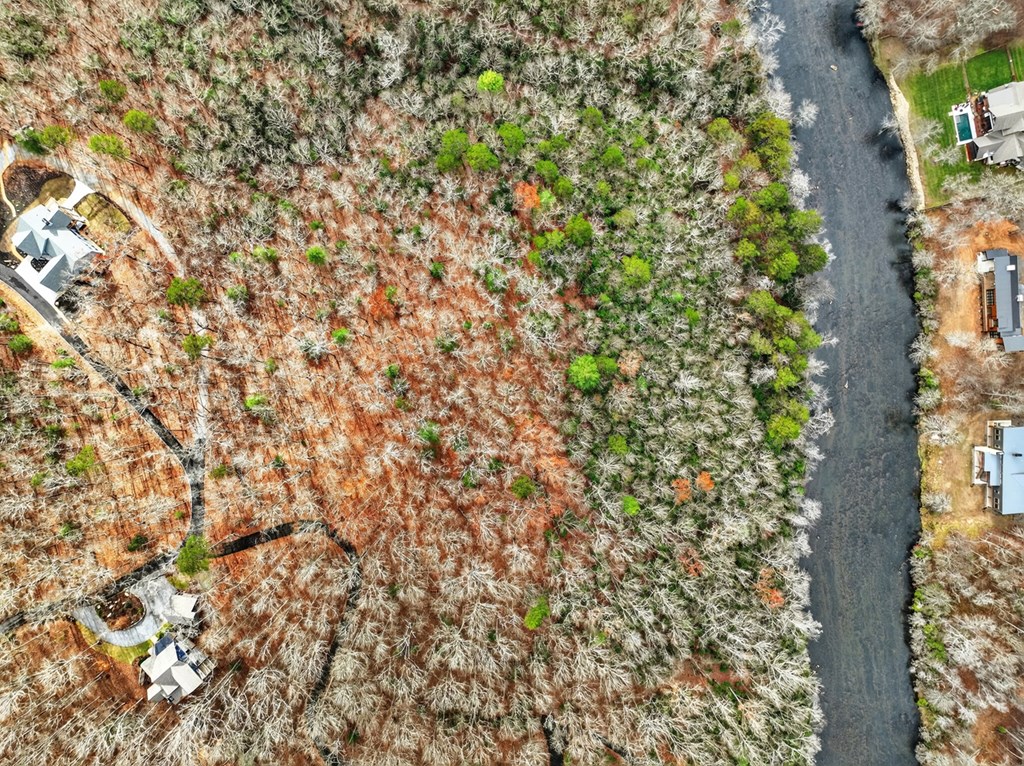 Lot 99 Woodlands Bluff Lane